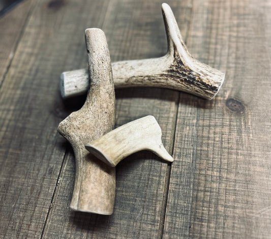 Antler Chews