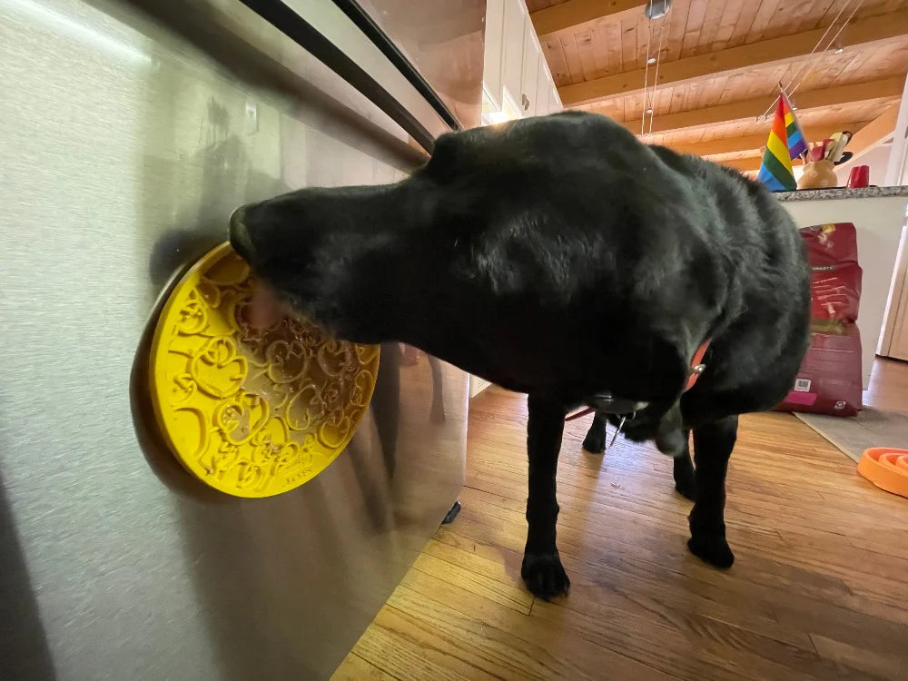 Ducky Enrichment Mat with Suction Cups